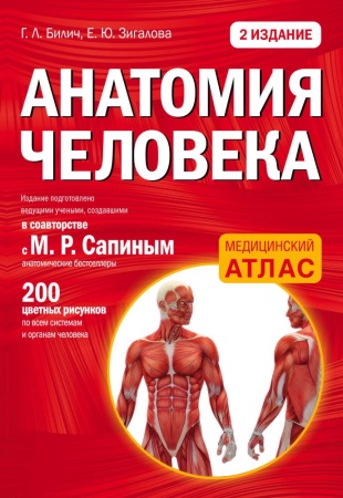 анатомия человека: 2 издание (билич г.л., зигалова е.ю.)