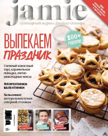 журнал jamie magazine № 1 (22) январь/февраль 2014 г.
