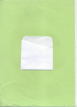 кармашек бумажный белый, 105х85 мм,