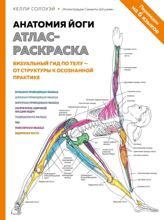 анатомия йоги: атлас-раскраска. визуальный гид по телу — от структуры к осознанной практике (солоуэй