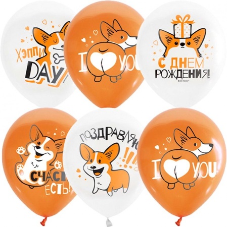 воздушные шары,  1шт., м12/30см, патибум "white&orange. корги. с днем рождения", декоратор, шелк 