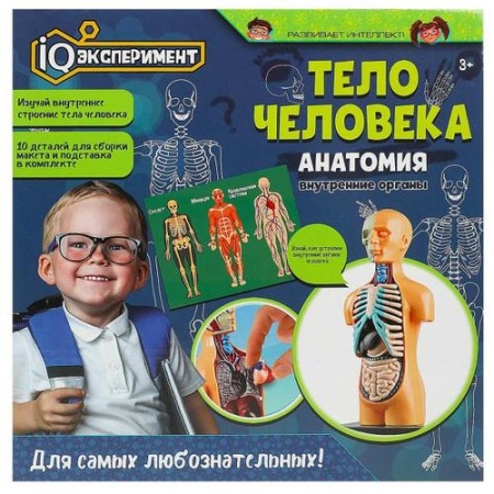 iq эксперимент тело человека. анатомия (10 деталей, в коробке, от 3 лет) a365-h24041-r, (huada toy c