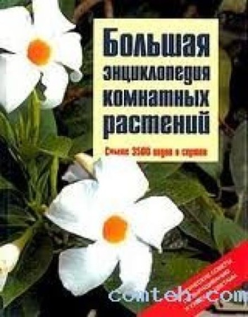 большая энциклопедия комнатных растений (рюкер к.) (изд2006г.)
